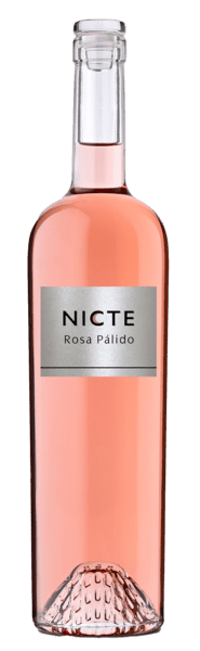 NICTE Rosa Pálido Castilla Y León