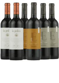 Argentinsk smagekasse - TOPVINE fra vinhuset Las Perdices - 6 Flasker