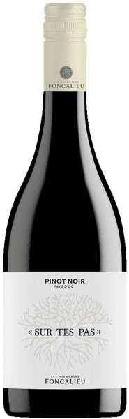 PINOT NOIR - SUR TES PAS – IGP - Økologisk