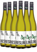 YES YES Riesling Halbtrocken Rheinhessen - Kassekøb 6 flasker